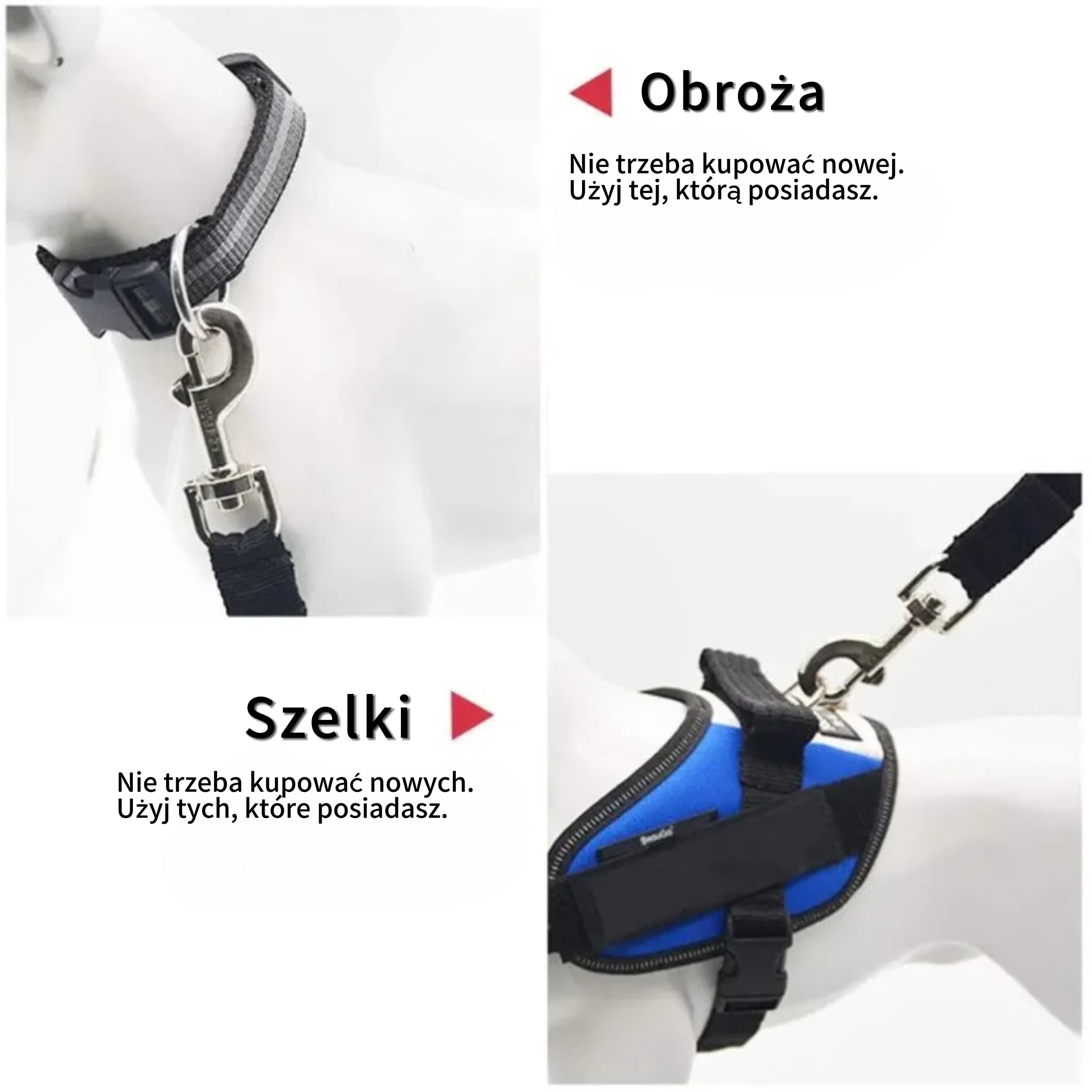 Regulowany pas bezpieczeństwa dla zwierząt do samochodu 🐾